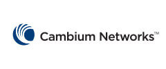 Cambium